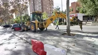 El juzgado rechaza suspender cautelarmente las obras del plan de movilidad de Murcia