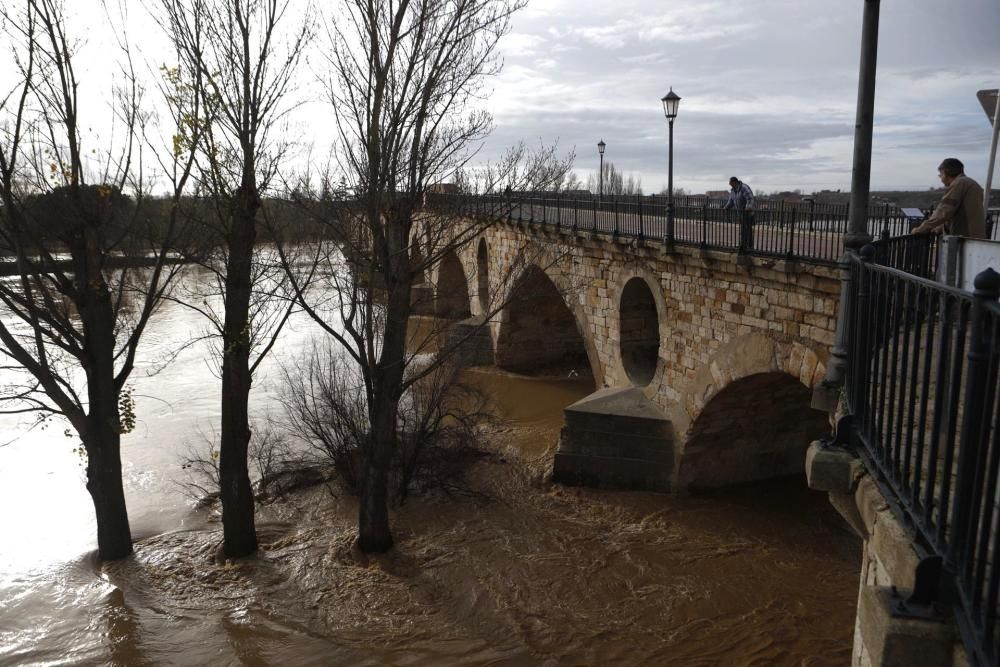 Crecida del río Duero en Zamora capital.