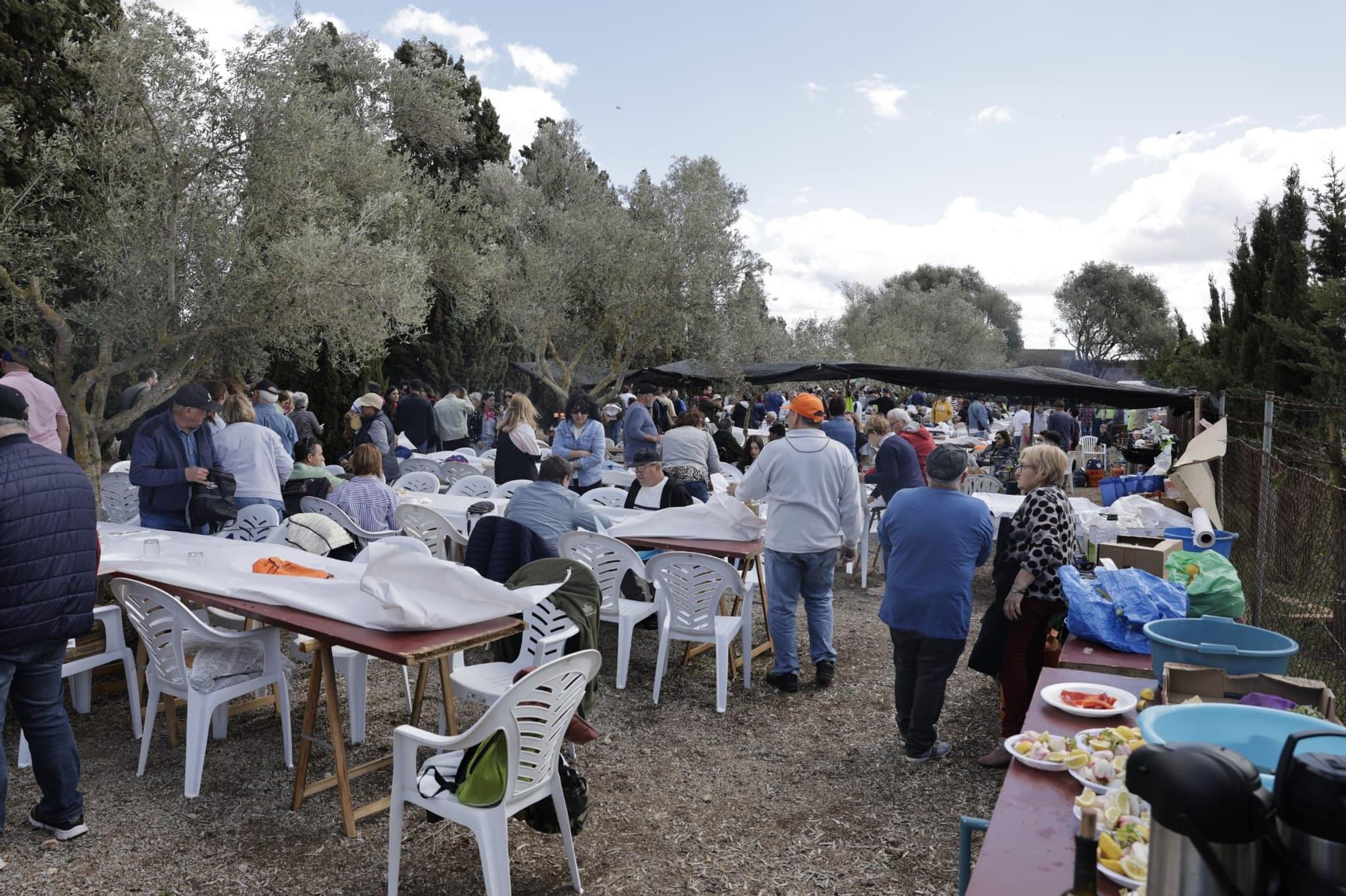 Lunes de Pascua | Los 'Pancaritats' en los pueblos de Mallorca, en imágenes