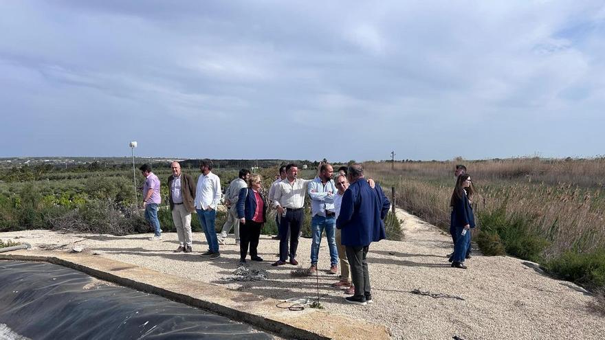 El Consell planea ayudas al Camp d'Elx tras la escalada de precios por la guerra en Oriente Medio