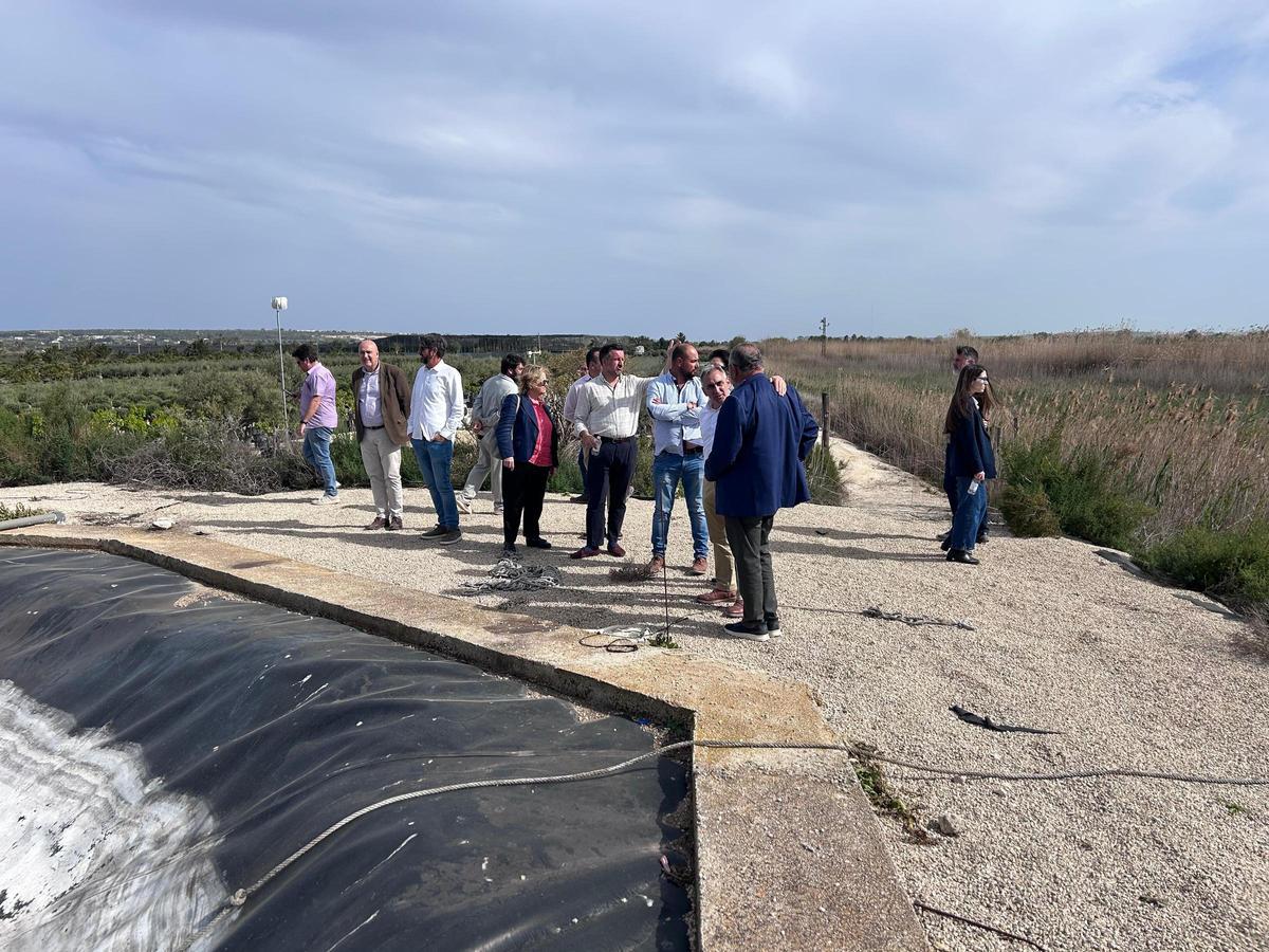 Visita del conseller Miguel Barrachina a uno de los viveros del Camp d'Elx