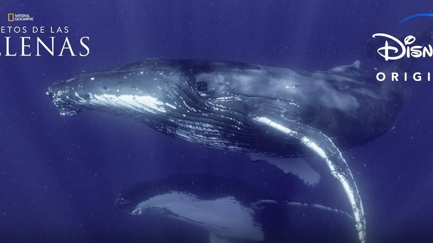 La serie sobre el origen de las ballenas de James Cameron se estrena el 22 de abril
