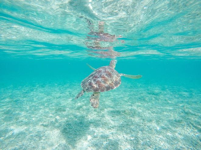 Submarinismo en Lombok