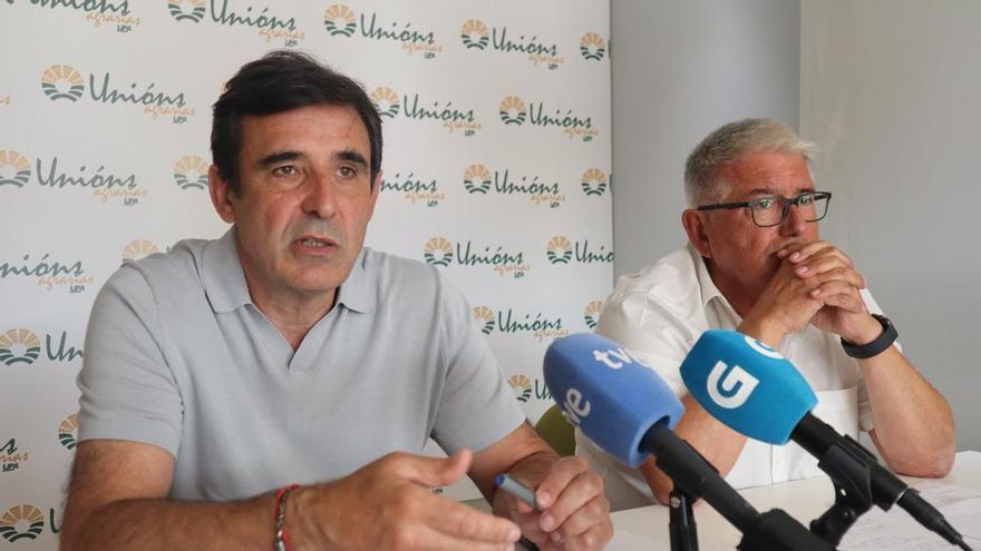 El vacuno de carne gallego en jaque: Unións Agrarias señala la caída de precios y el cierre de mercados