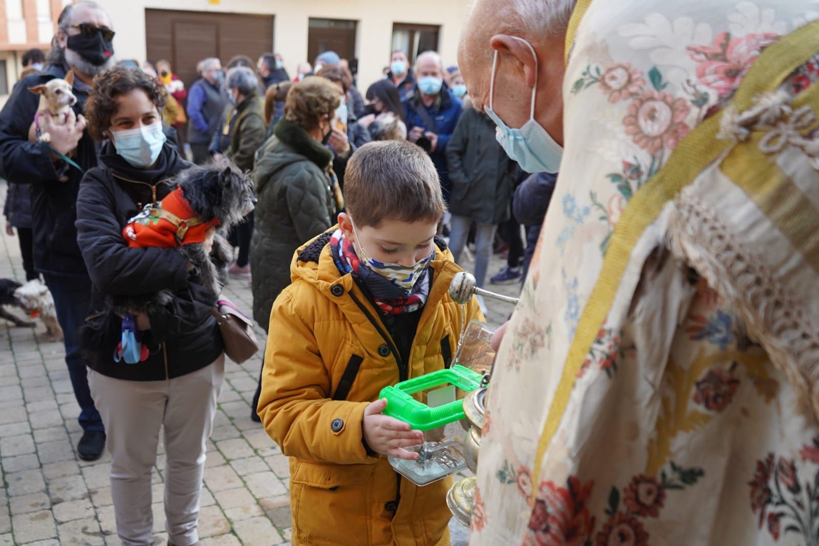 GALERÍA | ¡Benditos animales! Las pequeñas fieras reciben la bendición por San Antón en Zamora