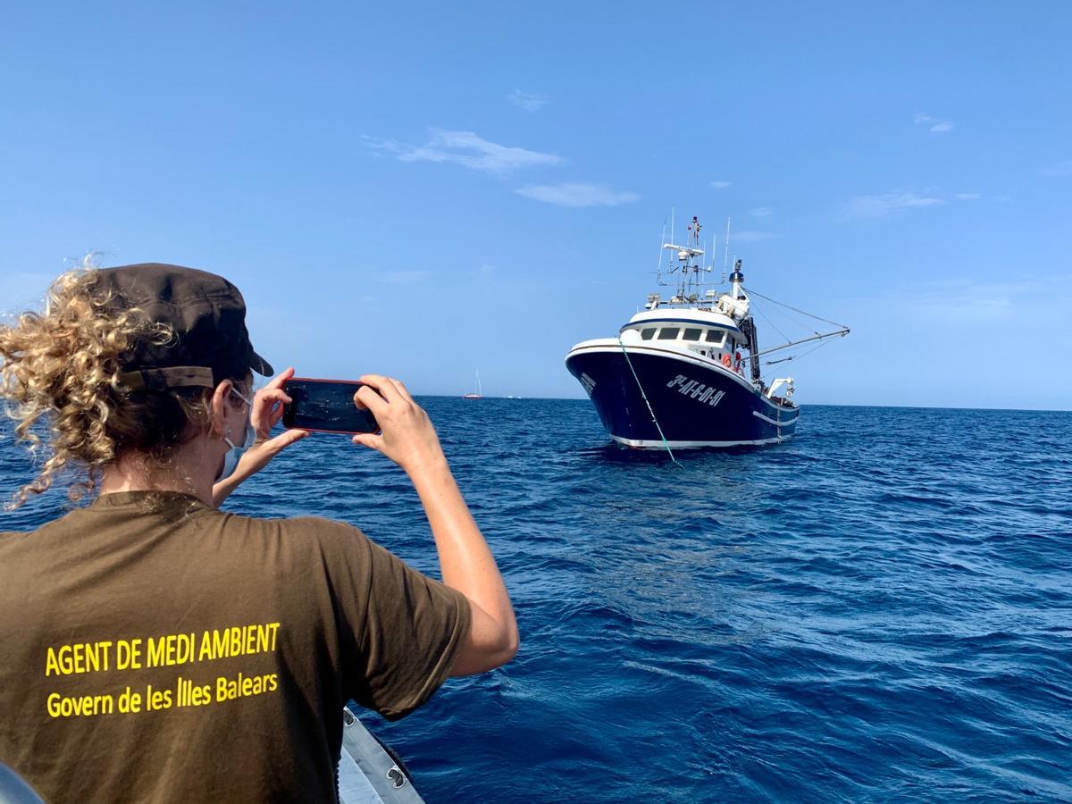 Arranca una nueva temporada del Servicio de Vigilancia de la Posidonia Arranca una nueva temporada del Servicio de Vigilancia de la Posidonia