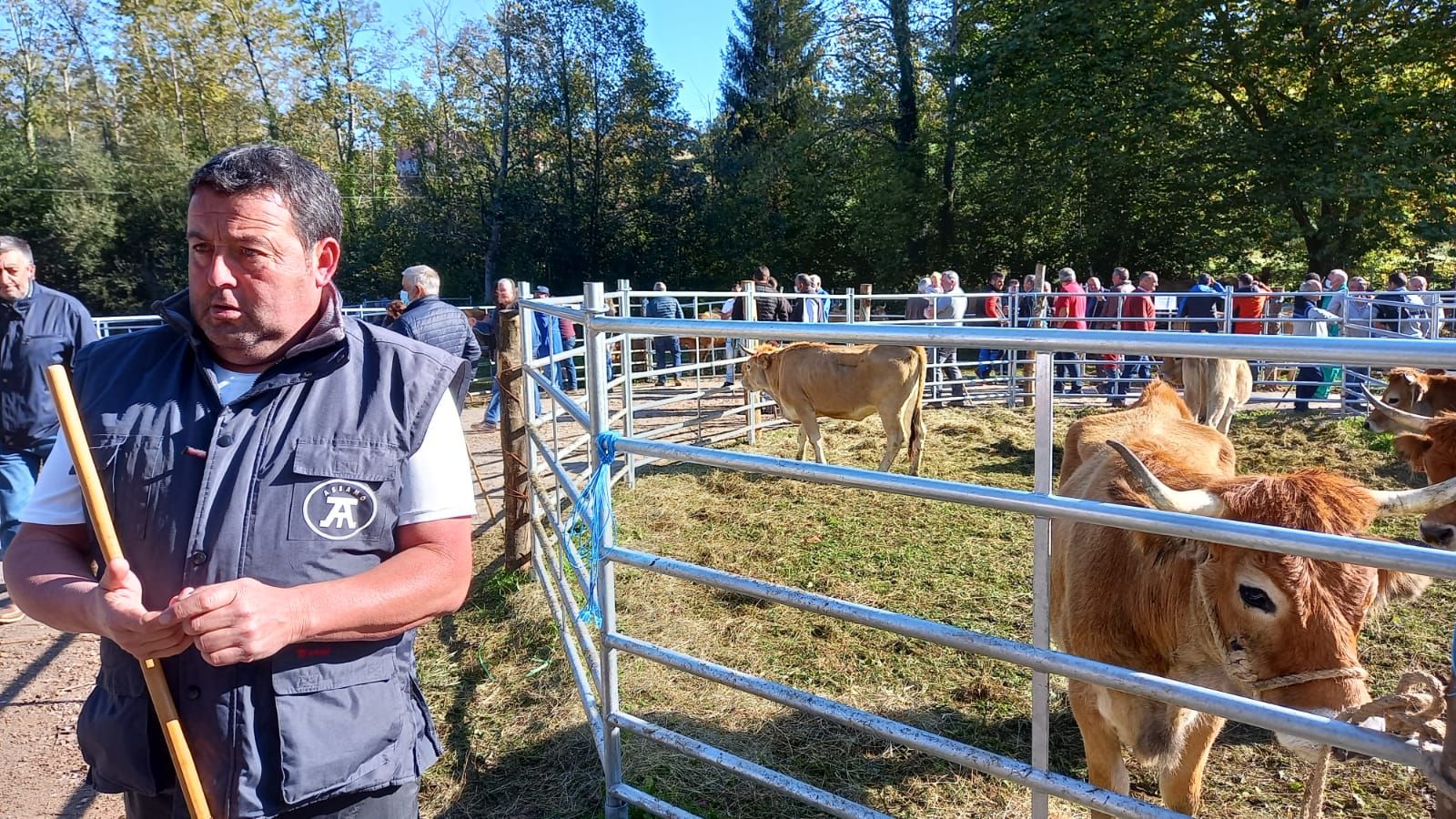 Así fue la feria de Santa Teresa en Piloña: mucha participación pero precios bajos