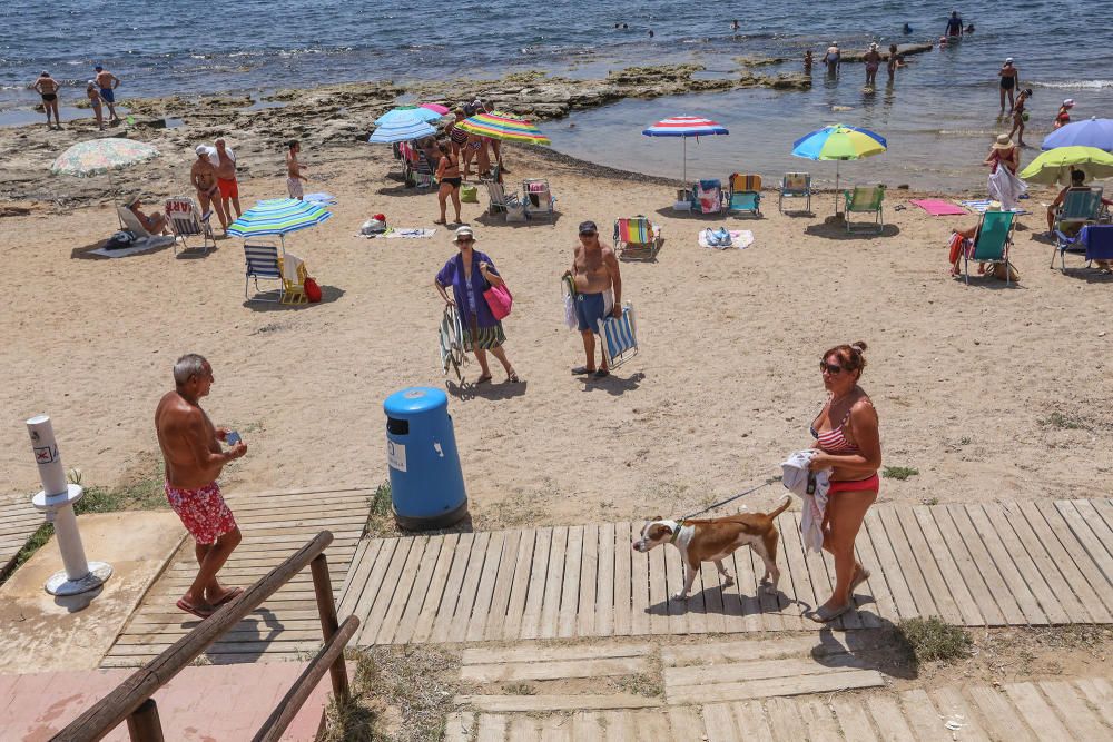 Los bañistas aseguran que no están en contra de la medida pero reclaman que se zonifique la playa para usuarios con perros y sin perros