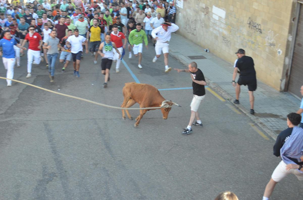 La carrera del Torito del Alba "Ganadora", de Benavente, en imágenes