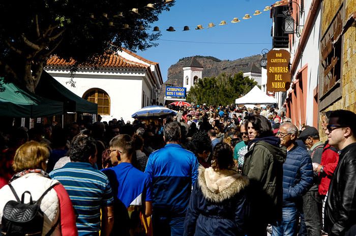 FIESTAS DEL ALMENDRO EN FLOR TEJEDA