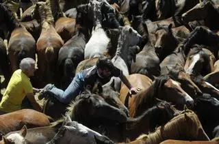 Rapa de Sabucedo, contra viento y arena