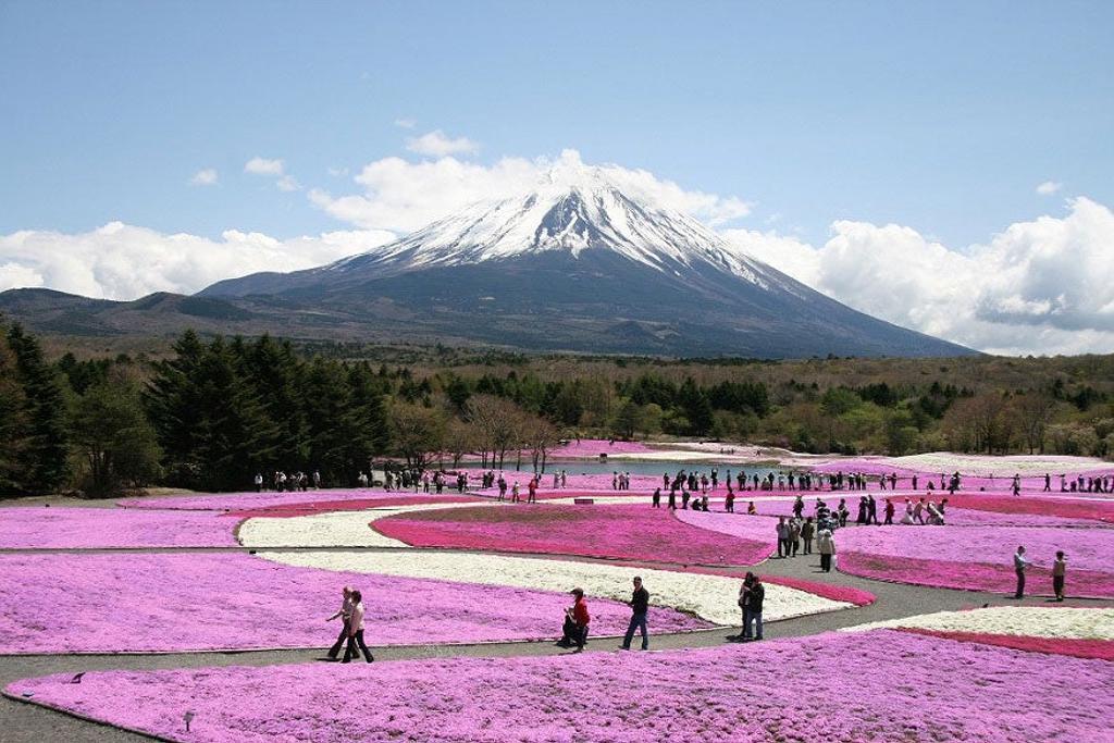 Festivales flores japón