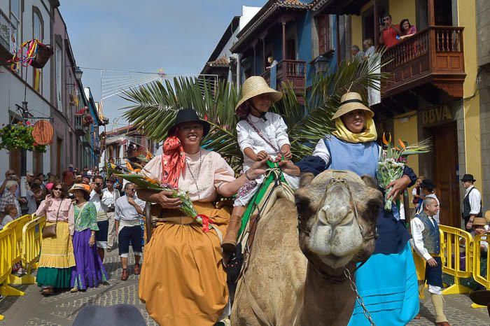 Carretas y grupos en la romería del Pino