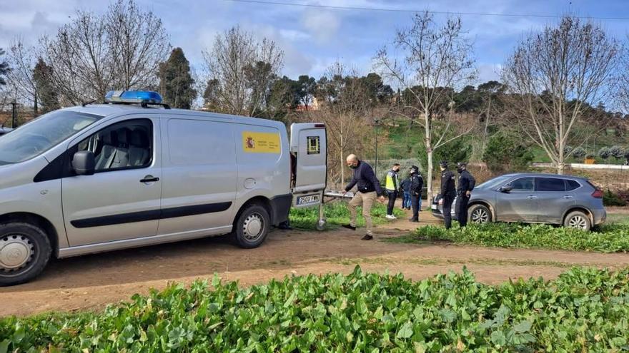 Hallan el cadáver de un hombre de 42 años en el parque del Rivillas de Badajoz