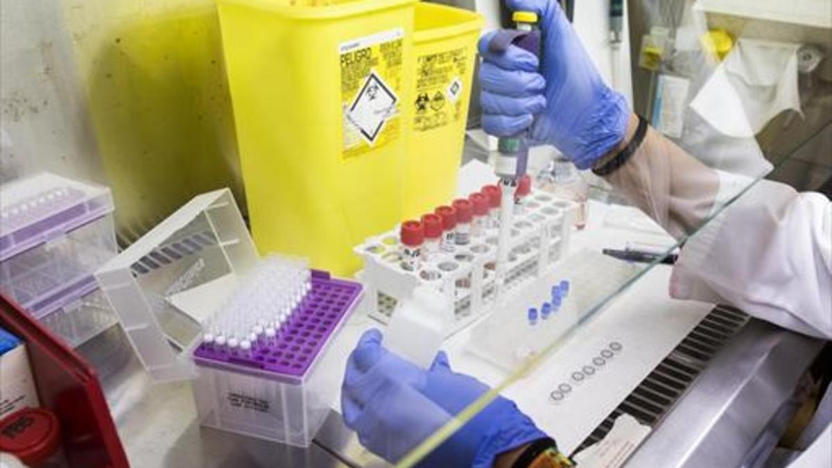 Una técnica trabaja en un laboratorio para el control del virus de la gripe, en el Hospital Clínic.