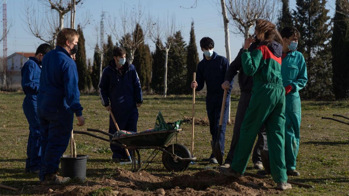 Varios alumnos trabajan en el patio.