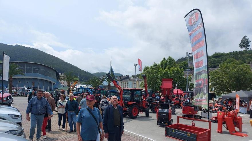 Vegadeo lanza LXI Feria de Muestras, con alrededor de 120 de expositores y actividades para todos los públicos