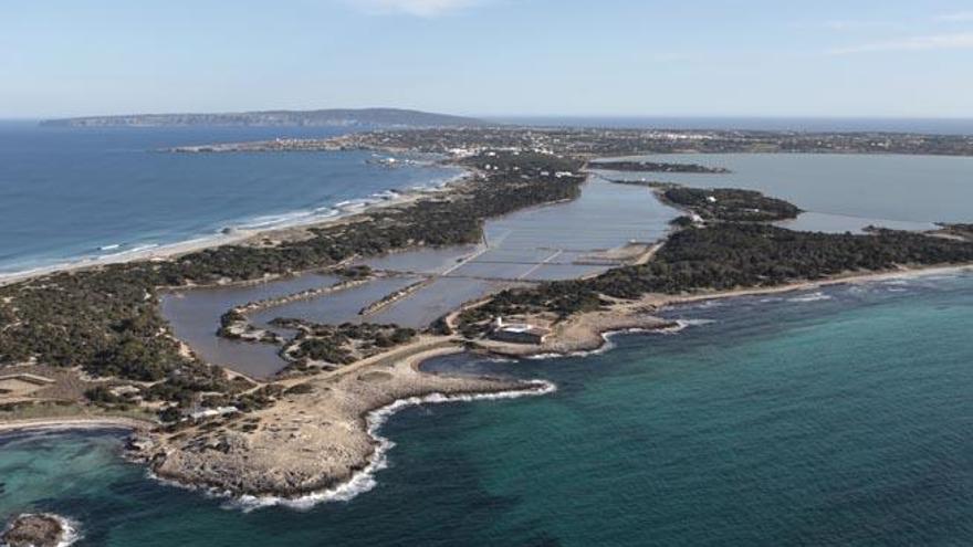 Todo el litoral de Formentera está protegido por la directiva de hábitats y especies de la UE .