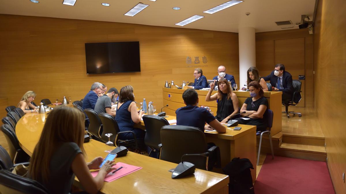 La última comparecencia en las Corts fue la del conseller de Sanidad, Miguel Mínguez, en julio.