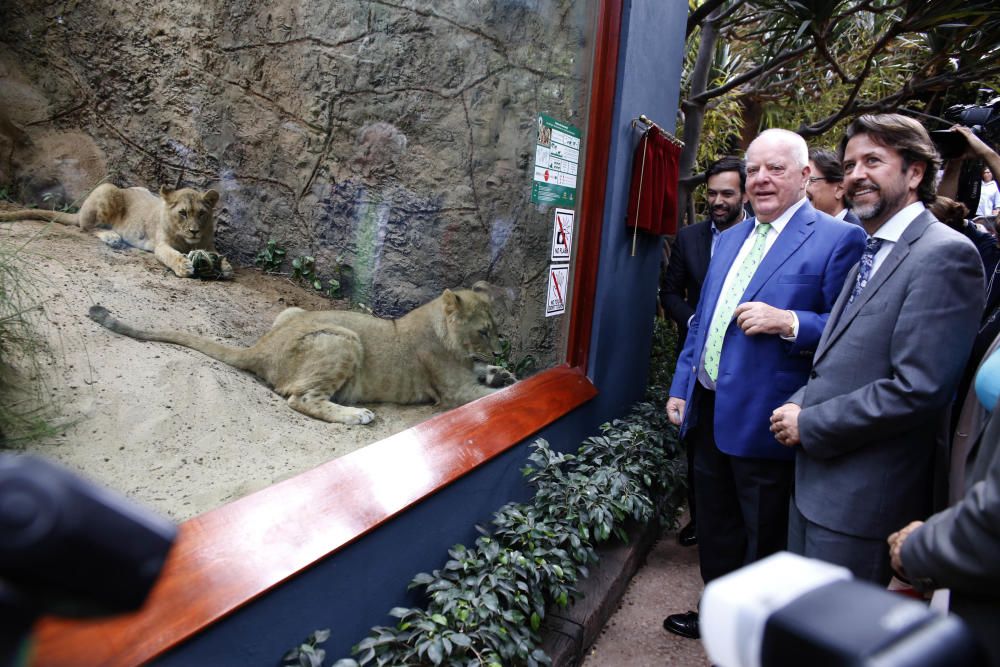 Delia Padrón Inauguración del Lion's Kingdom, la exhibición de los leones africanos, en Loro Parque