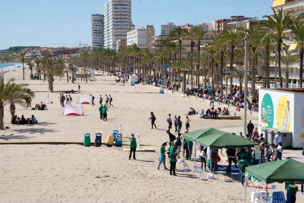 Botellón de Santa Faz 2018