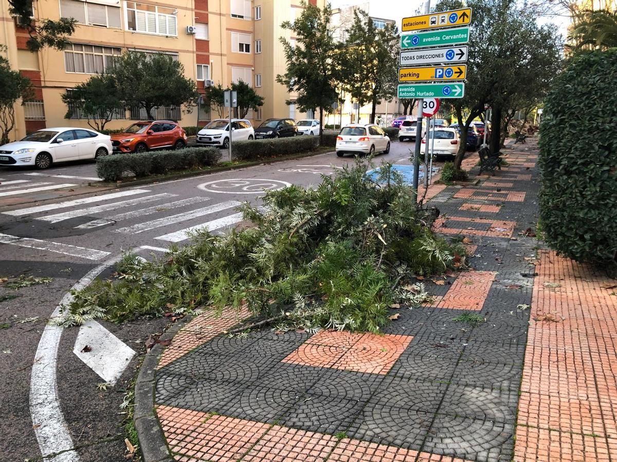 Un muro se desploma en el Instituto El Brocense