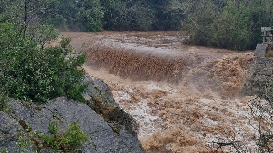 La &quot;mugada&quot; més oportuna dels darrers anys a l&#039;Alt Empordà