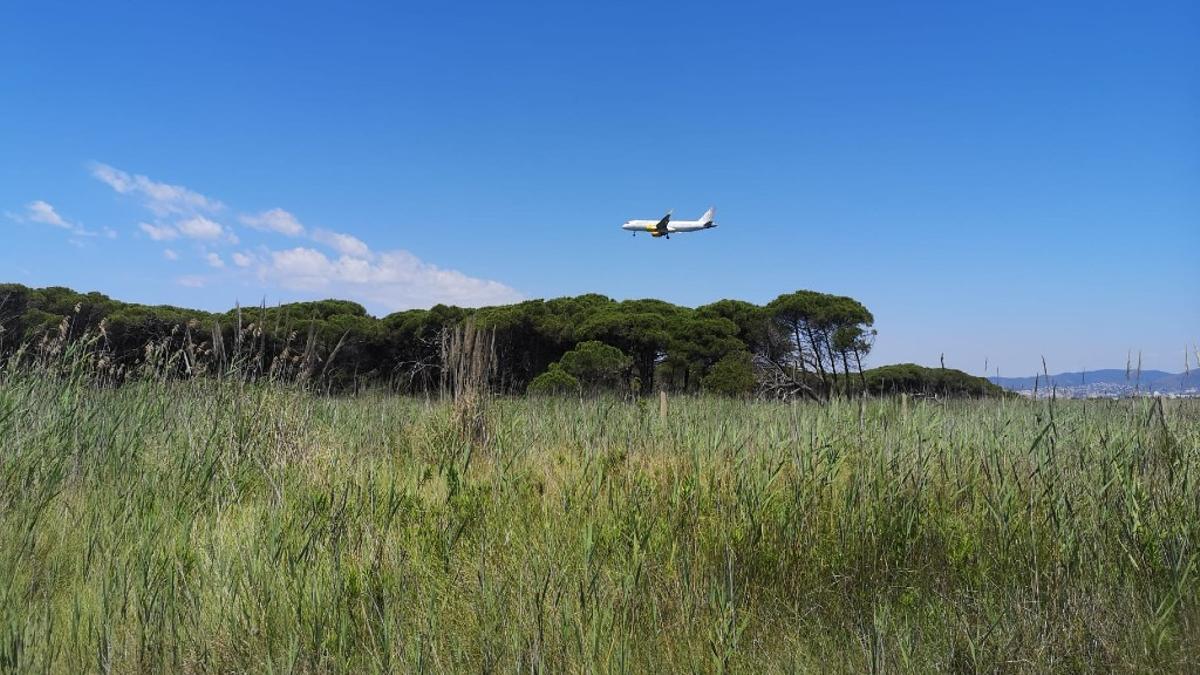 Más de 300 organizaciones catalanas dicen “no” la ampliación del aeropuerto del Prat