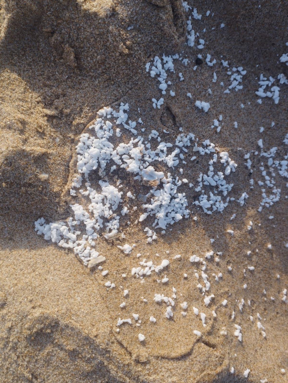 Un detalle de la sustancia que ha obligado a lanzar la advertencia de contaminación en las playas.