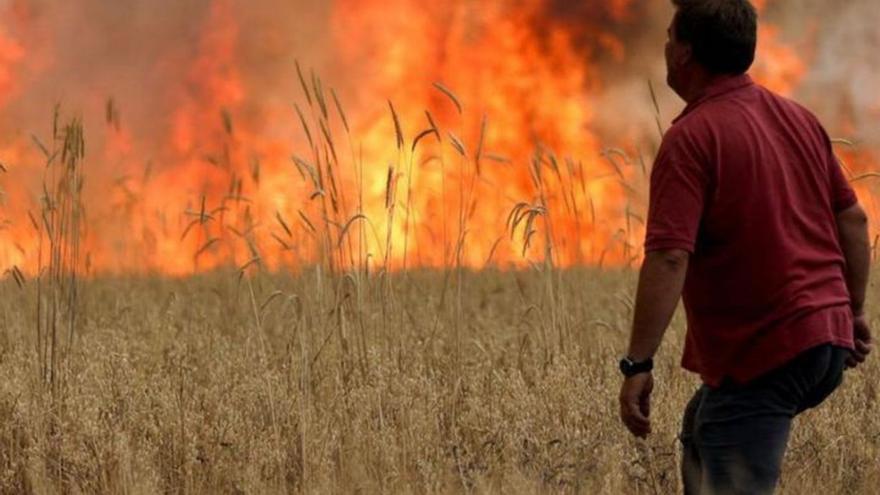 Imagen de archivo de un campo de cereal arrasado por los incendios. | J. S.