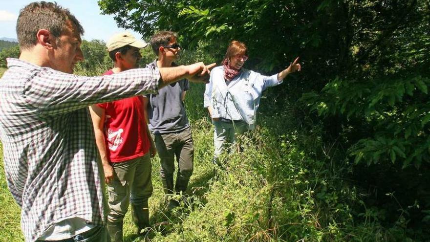 Expertos en Arqueología y Edafología, en junio, señalando restos del castro de Aguións. // Bernabé / V. E.