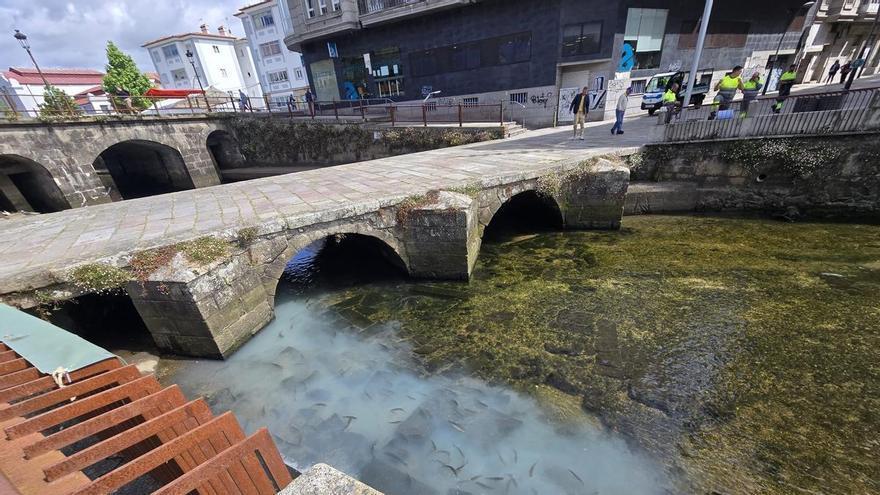 Multas millonarias para quien contamine en Galicia: hasta dos millones por dañar el medio ambiente