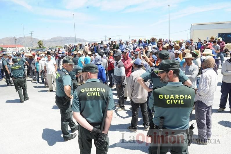 Protesta hortofrutícola en una empresa de El Raal