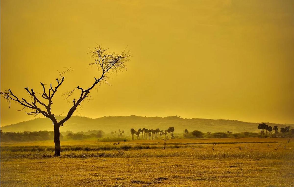 Descubren una desconocida tendencia al calentamiento en la historia de la Tierra