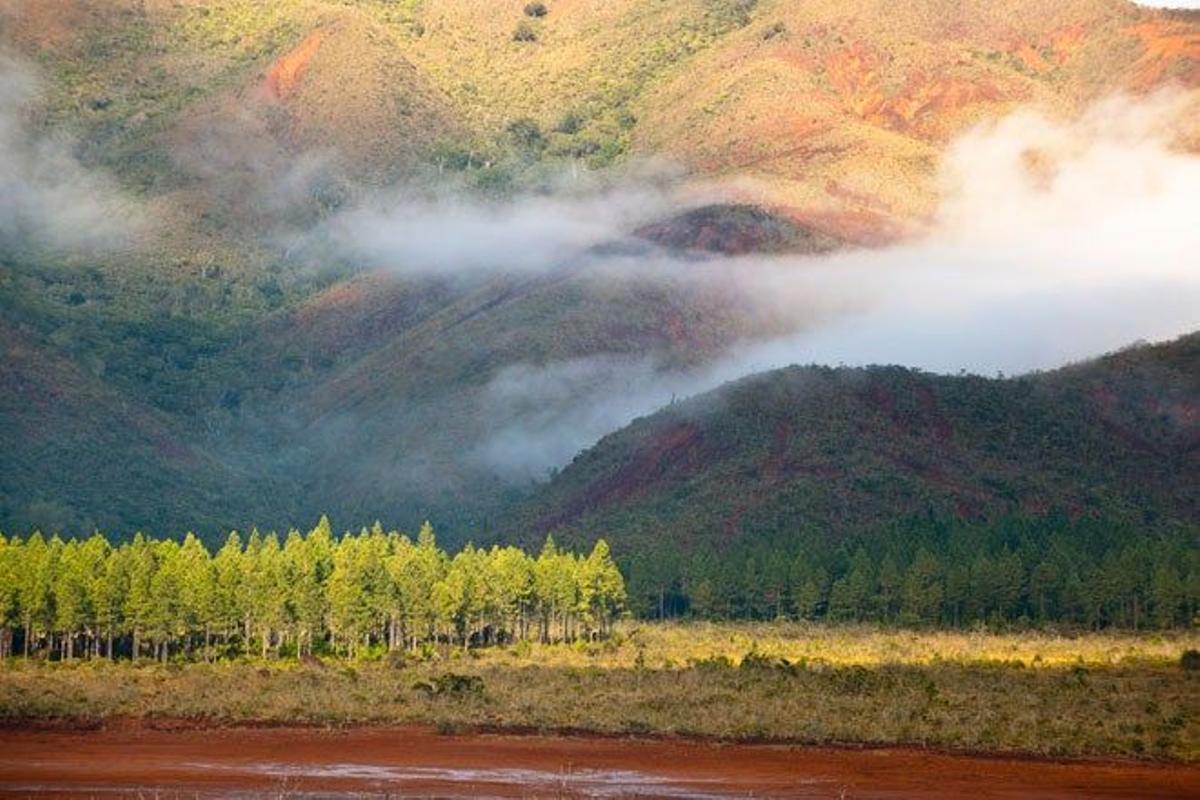 Parque provincial del Río Azul, al sur de Grande Terre, en Nueva Caledonia.