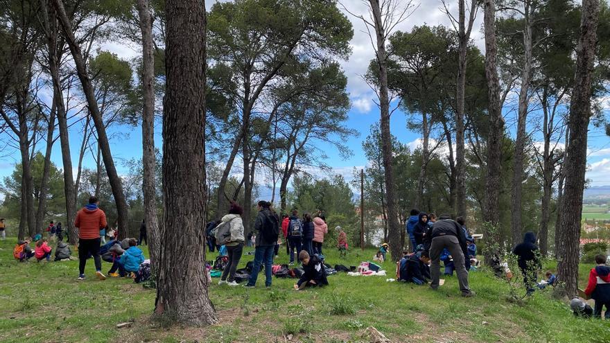 EN IMATGES | Figueres recupera la Festa de l’Arbre amb la participació de més de 500 alumnes