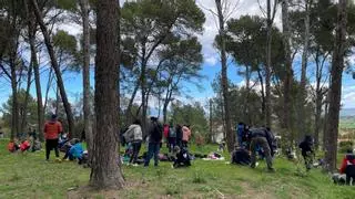 Figueres recupera la Festa de l’Arbre amb la participació de més de 500 alumnes