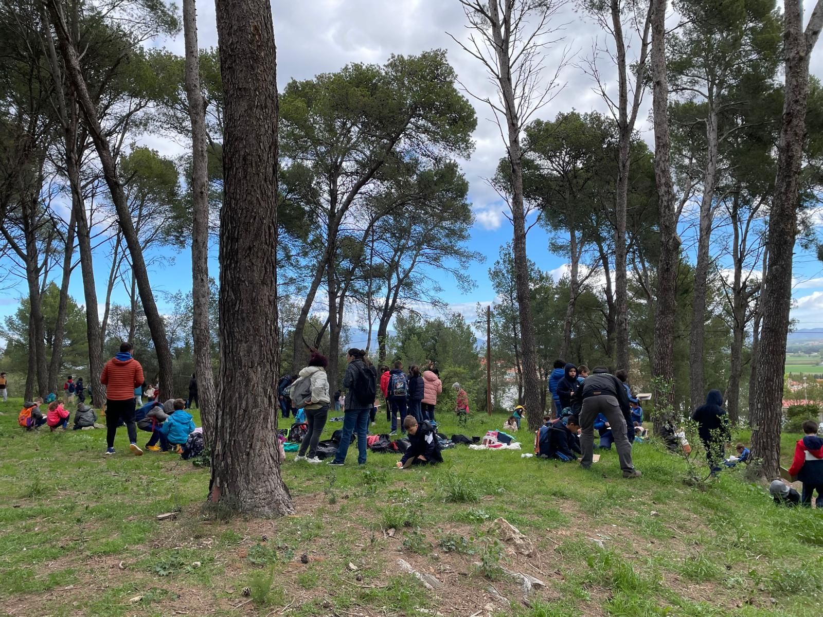 EN IMATGES | Figueres recupera la Festa de l’Arbre amb la participació de més de 500 alumnes