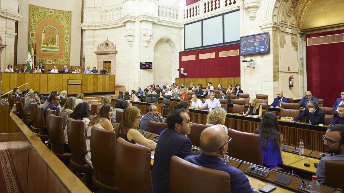 Sesion plenaria del Parlamento Andaluz.