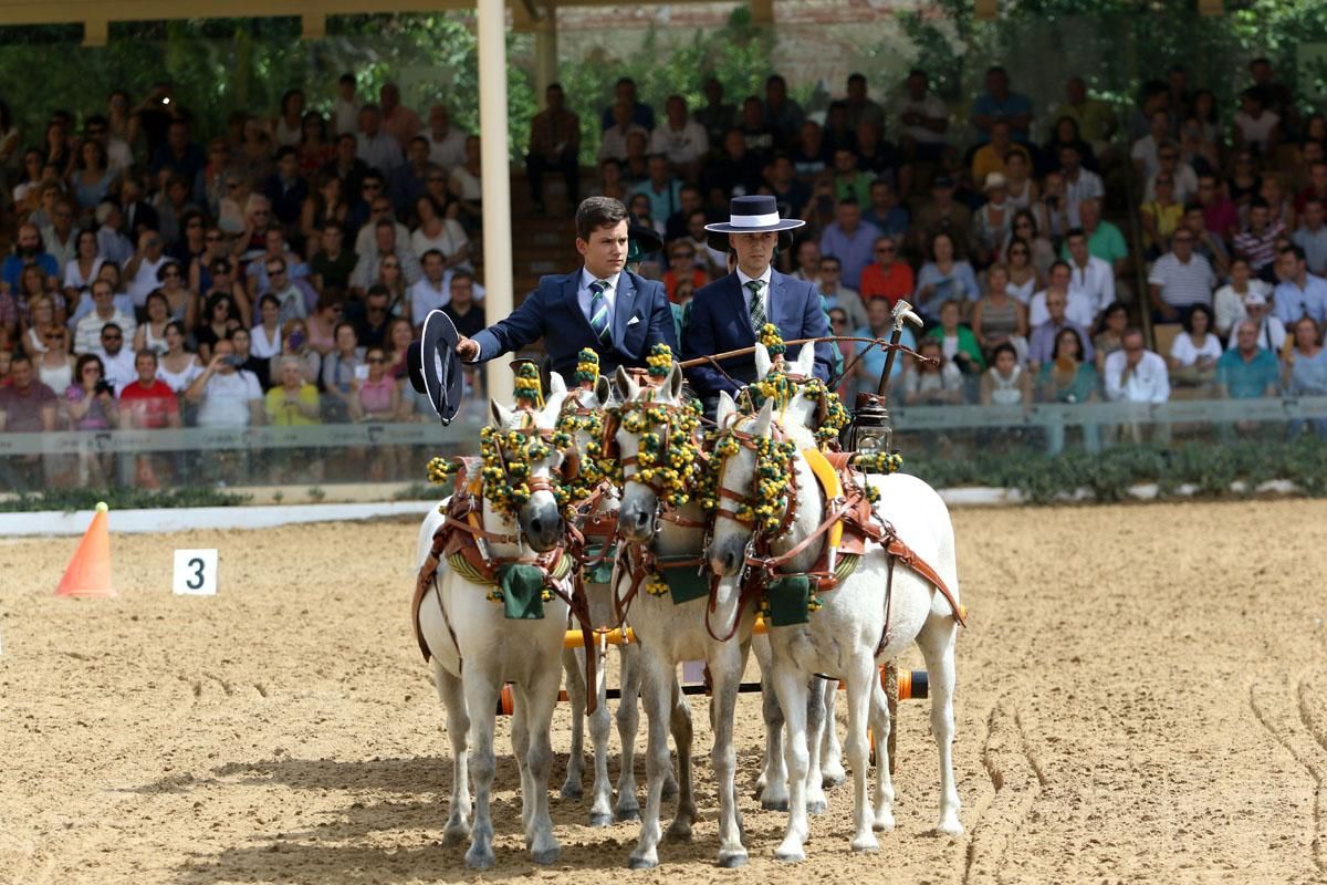 4º Concurso Internacional de Atalaje de Tradición en Cabalcor 2018