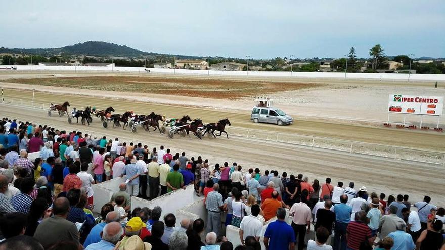 Vista de la tribuna descubierta y la pista del Hipòdrom de Manacor durante la disputa de una carrera.