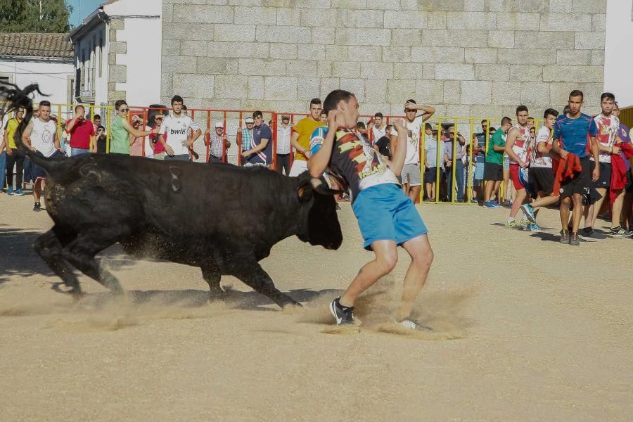 Encierro en Bermillo