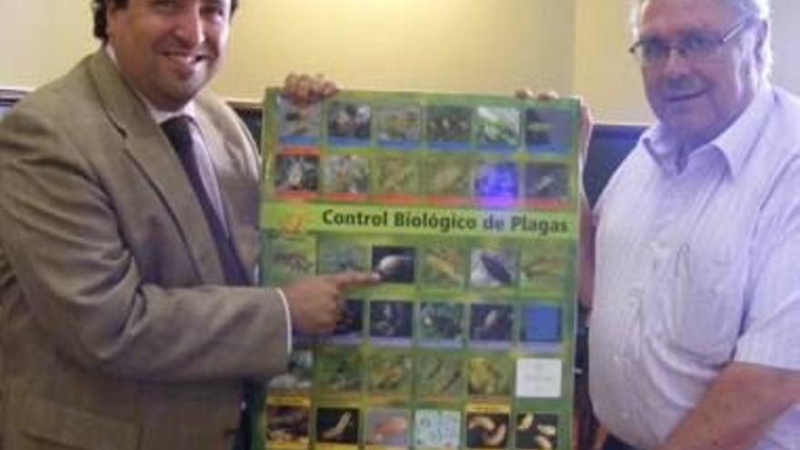 Las fincas agrícolas de Castellón tratarán sus plagas con medidas de control biológico no contaminantes