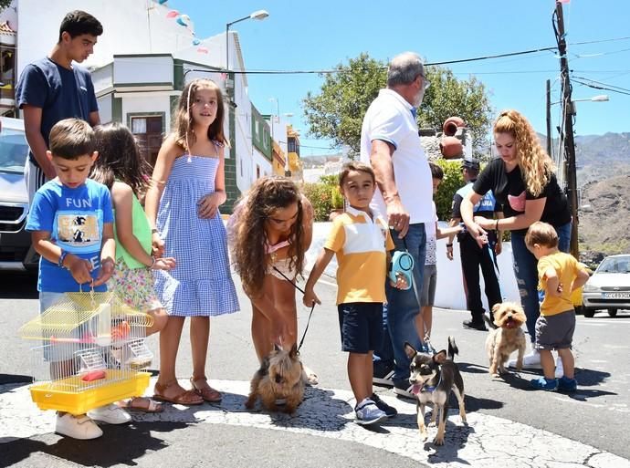 05/08/2019 LOMO MAGULLO. TELDE. Procesión de la Virgen de Las Nieves y pase de mascotas al finalizar el acto.   Fotógrafa: YAIZA SOCORRO.  | 05/08/2019 | Fotógrafo: Yaiza Socorro