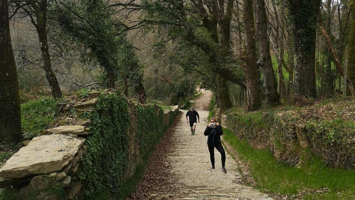 Trazado del Roteiro da Igualdade por la Carballeira da Crespa // Roteiros