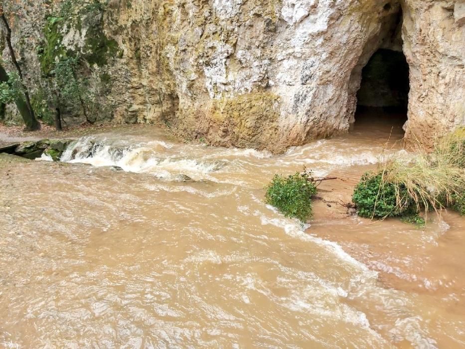 L'aigua a les Coves del Toll