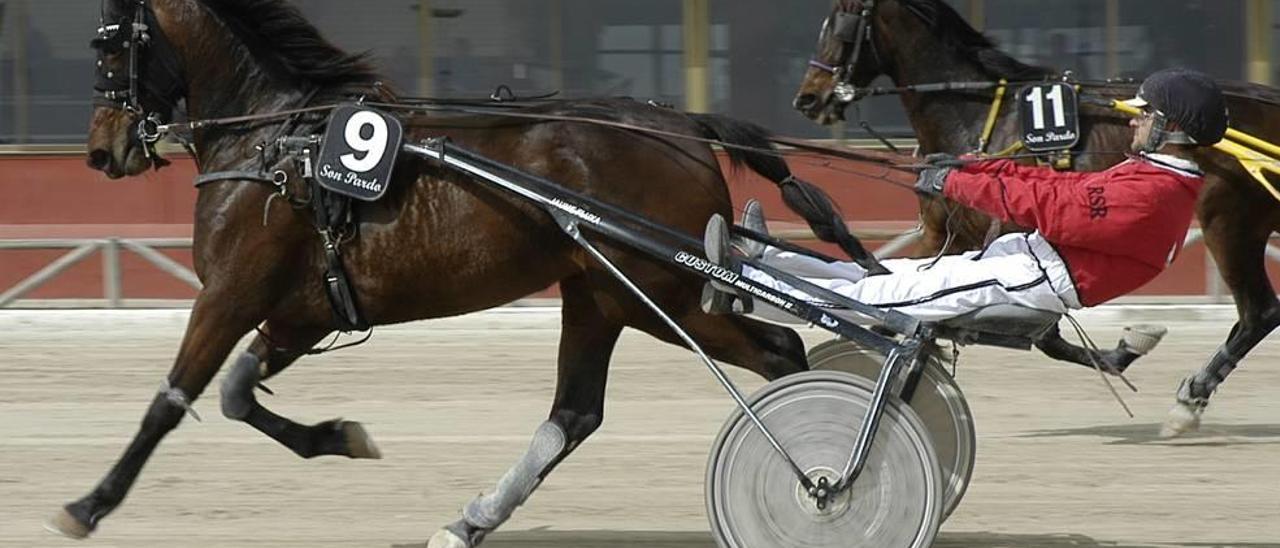 Dafi RS, con Jaume Fluxá, camino de la salida de la carrera en la que ganó rodando a 1:15´3 en el Hipòdrom Son Pardo.