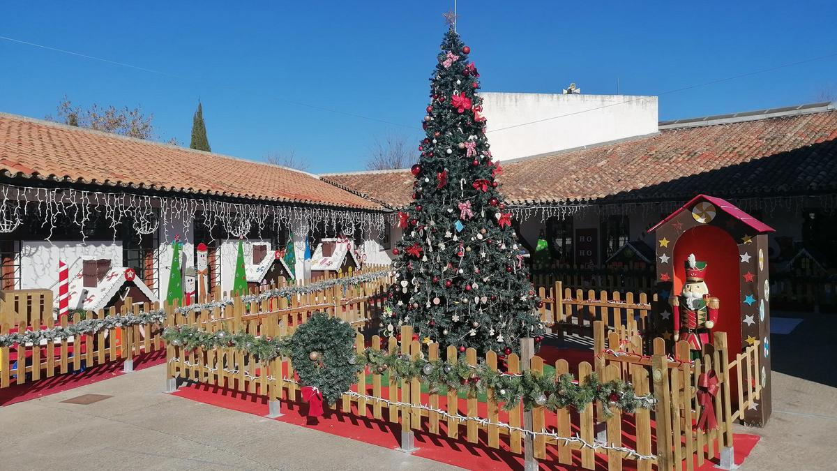 Archivo - F.Torote.- El municipio enciende el sábado el Árbol de Deseos en la Plaza de la Constitución para inaugurar la Navidad