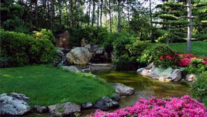 Com podeu fer un jardí japonès a casa