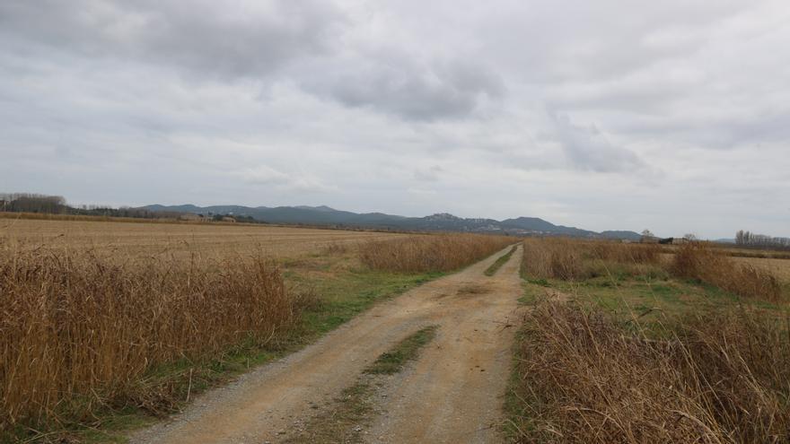 Presó sense fiança per al detingut pel crim masclista de Torroella de Montgrí